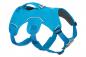 Preview: Ruffwear Web Master Harness Blue Dusk Gr. XXS